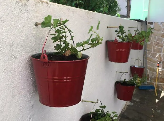 Calista Luxury Appt Appartement