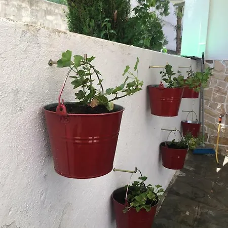 Calista Luxury Appt Daire